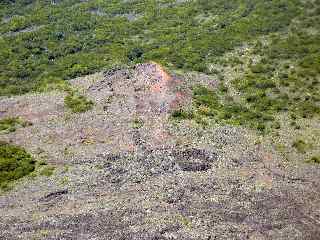 Piton Rouge (Fond de la Rivire de l'Est)