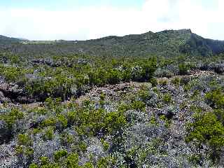 Vers le Piton de l'Eau