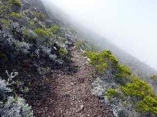 Sentier de remonte du Cass de la Plaine des Sables