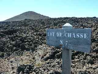 Lot de chasse n7 - Plaine des Sables