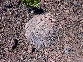 Bombe volcanique semi-enterre