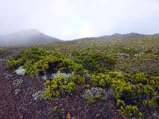 Piton Hubert ( gauche) et Piton Cambar ( droite)