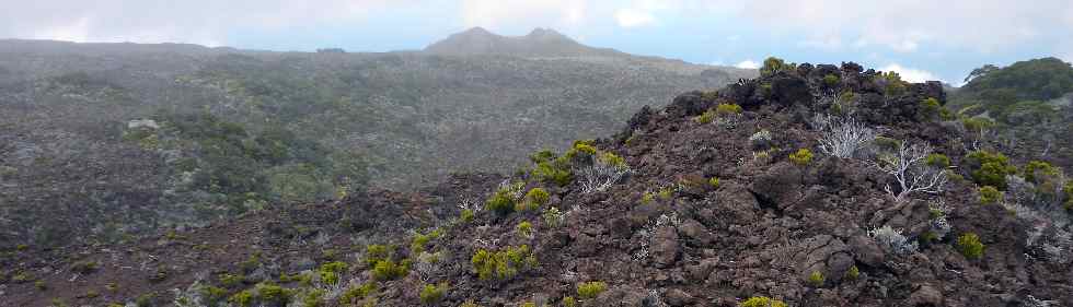 Piton Cambar, au fond, le Piton du Rond de Langevin