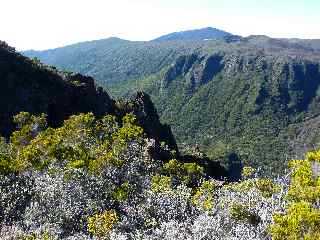 Fond de la rivire de l'Est