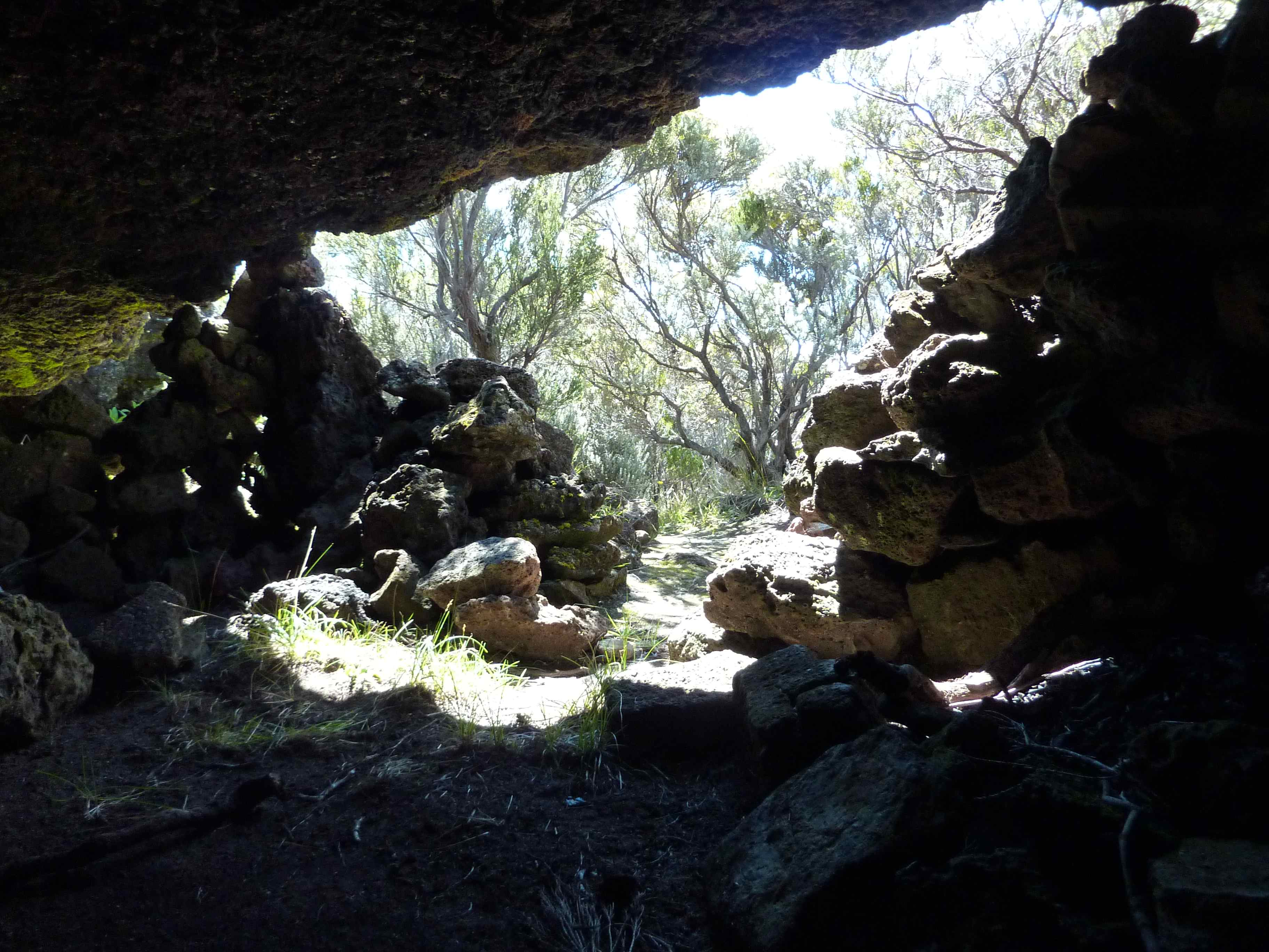 Caverne des Lataniers