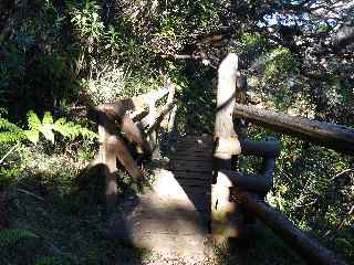Pont de bois sur une ravine