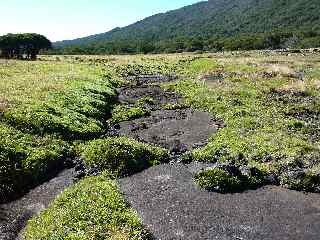 Dalles de laves de la ravine Savane Cimetire