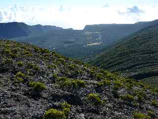 Piton Hay et Fond de la Rivire de l'Est