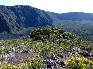 Bosquet dominant le Fond de la Rivire de l'Est