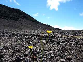 Demi-Piton (extrmit nord)