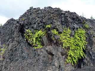 Cascade de lave - coule 2004