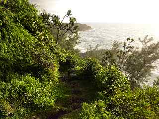 Descente vers la plage du Tremblet  St-Philippe