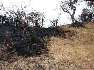 Incendies au volcan - Piton dans l'Bout