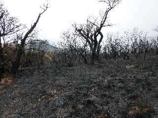 Incendies au volcan - novembre 2010