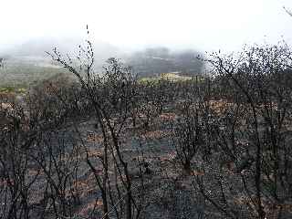 Incendies au volcan - novembre 2010