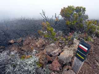 Incendies au volcan - novembre 2010 - Sentier GR R2