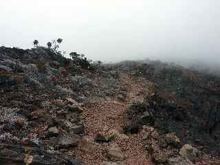 Incendies au volcan - novembre 2010 - Pente Zz