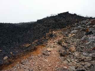 Incendies au volcan - novembre 2010 - Pente Zézé