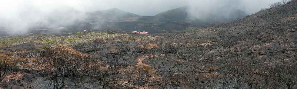 Incendies au volcan - novembre 2010 - Pente Zz