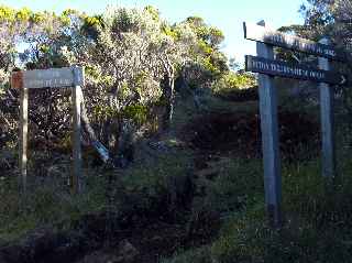 Sentier questre - Plaine des Cafres