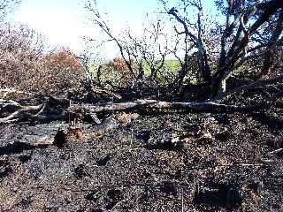 Incendie aux Trous Blancs