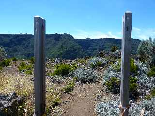 Sentier vers Roche Plate et la rivire des Remparts