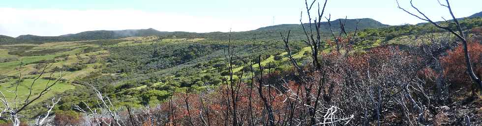 Incendies vers le Nez de Boeuf