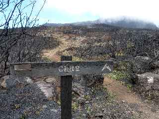 GR R2 - Traverse de la piste vers le Piton de l'Eau