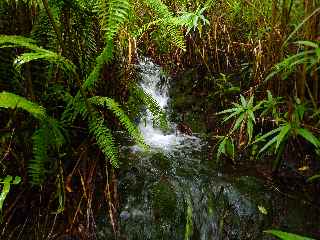 Le Tremblet sous la pluie