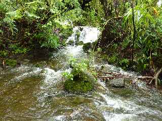 Le Tremblet, Grande Ravine Criais en crue - 8 avril 2011