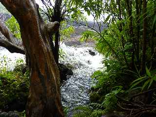 Le Tremblet, Grande Ravine Criais en crue - 8 avril 2011