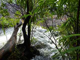 Le Tremblet, Grande Ravine Criais en crue - 8 avril 2011