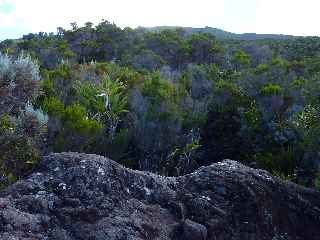 Fort du Volcan Sud - GR R2 -