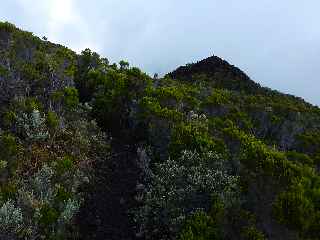 Fort du Volcan Sud - GR R2 - Entre PIton Rick et Puys Ramond