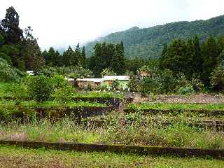 Maison forestière de Basse Vallée