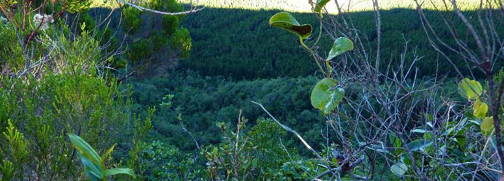 Fort de Basse Valle - Sentier GR R2 - Valle Heureuse