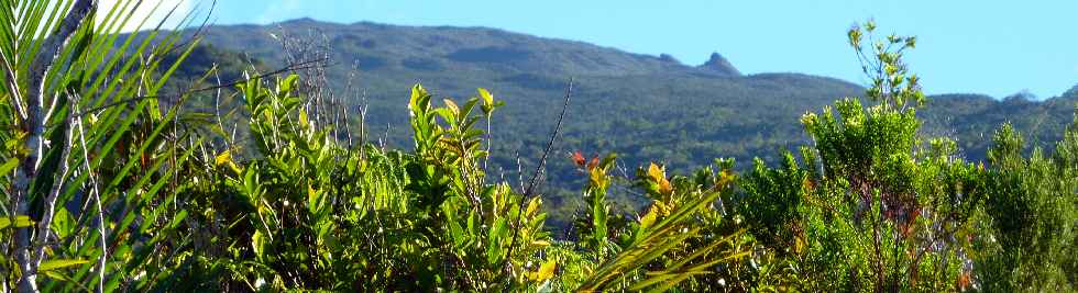 Sentier GR R2 - Vers le Piton de la Fournaise