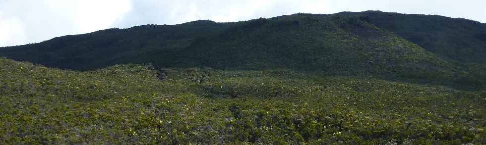 Fort du Volcan Sud - GR R2 - Piton Rick