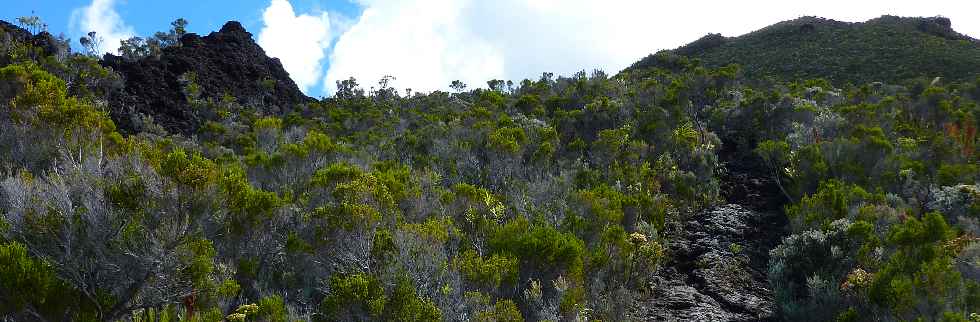 Fort du Volcan Sud - GR R2 - Piton Rick