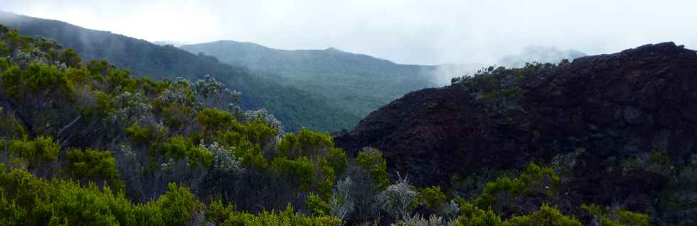 Forêt du Volcan Sud - GR R2 - Vers le sud-est