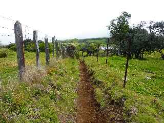 Sentier vers les Trous Blancs