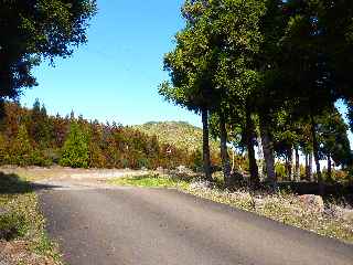 Route forestire - Aires de pique-nique