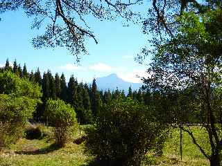 Vers le Piton des Neiges