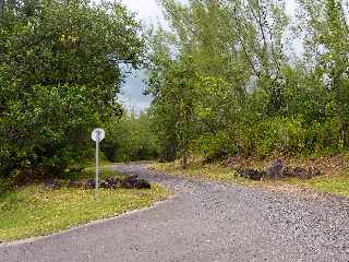 Grand Brûlé - Route des laves - Piste menant vers le site des statues de Mayo (recouvertes lors de l'éruption d'avril 2007)