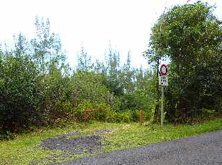 Grand Brl - Route des laves - Piste forestire des Brisants