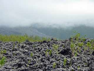 Grand Brl - Route des laves - Coule 2002