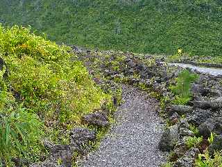 Grand Brl - Route des laves - Site de la Vierge au parasol