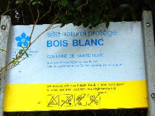 Bois Blanc, site naturel protégé