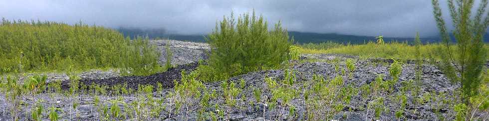 Grand Brl - Route des laves -  Tipuka sur coule 2004