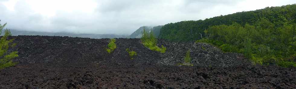 Ctes de l'Enclos du Piton de la Fournaise- Coule 2005